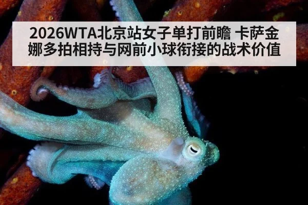 2026WTA北京站女子单打前瞻 卡萨金娜多拍相持与网前小球衔接的战术价值